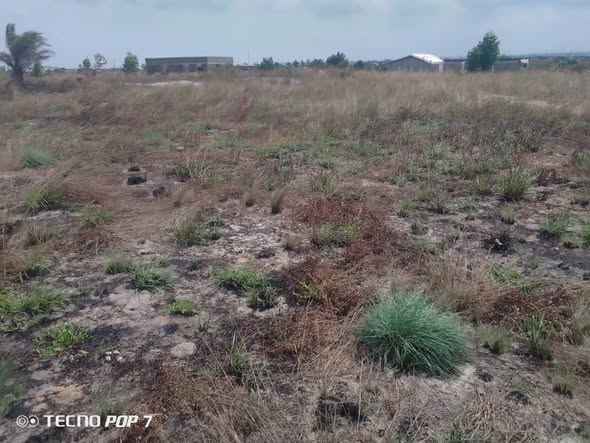 DEMI TERRAIN A NANGA Pointe-Noire Congo Brazzaville