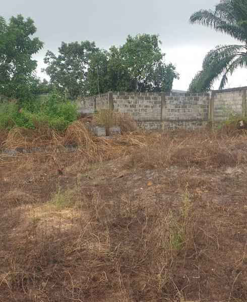 TSOUROU - MONT KAMBA Brazzaville FCFA