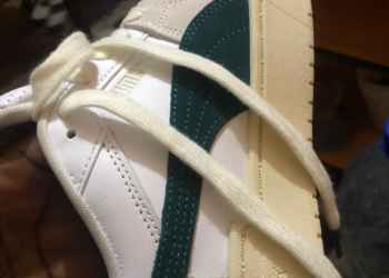 Paire puma Pointe-Noire Congo Brazzaville