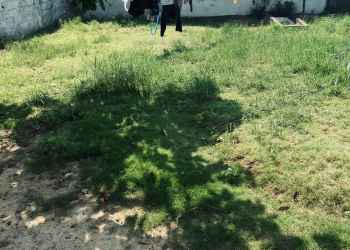 1er CAMP RAFINNERIE Pointe-Noire Congo Brazzaville