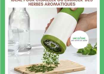 Moulin à herbes (Manuel) Brazzaville Congo Brazzaville