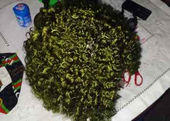 Les perruques Brazzaville Congo Brazzaville