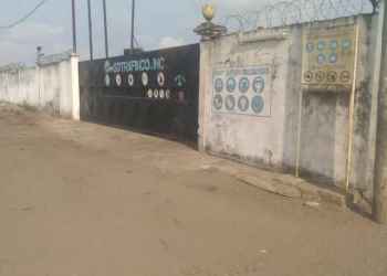 UN DEMI TERRAIN A VENDRE Pointe-Noire Congo Brazzaville