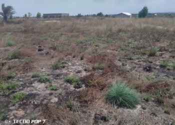 DEMI TERRAIN A NANGA Pointe-Noire Congo Brazzaville